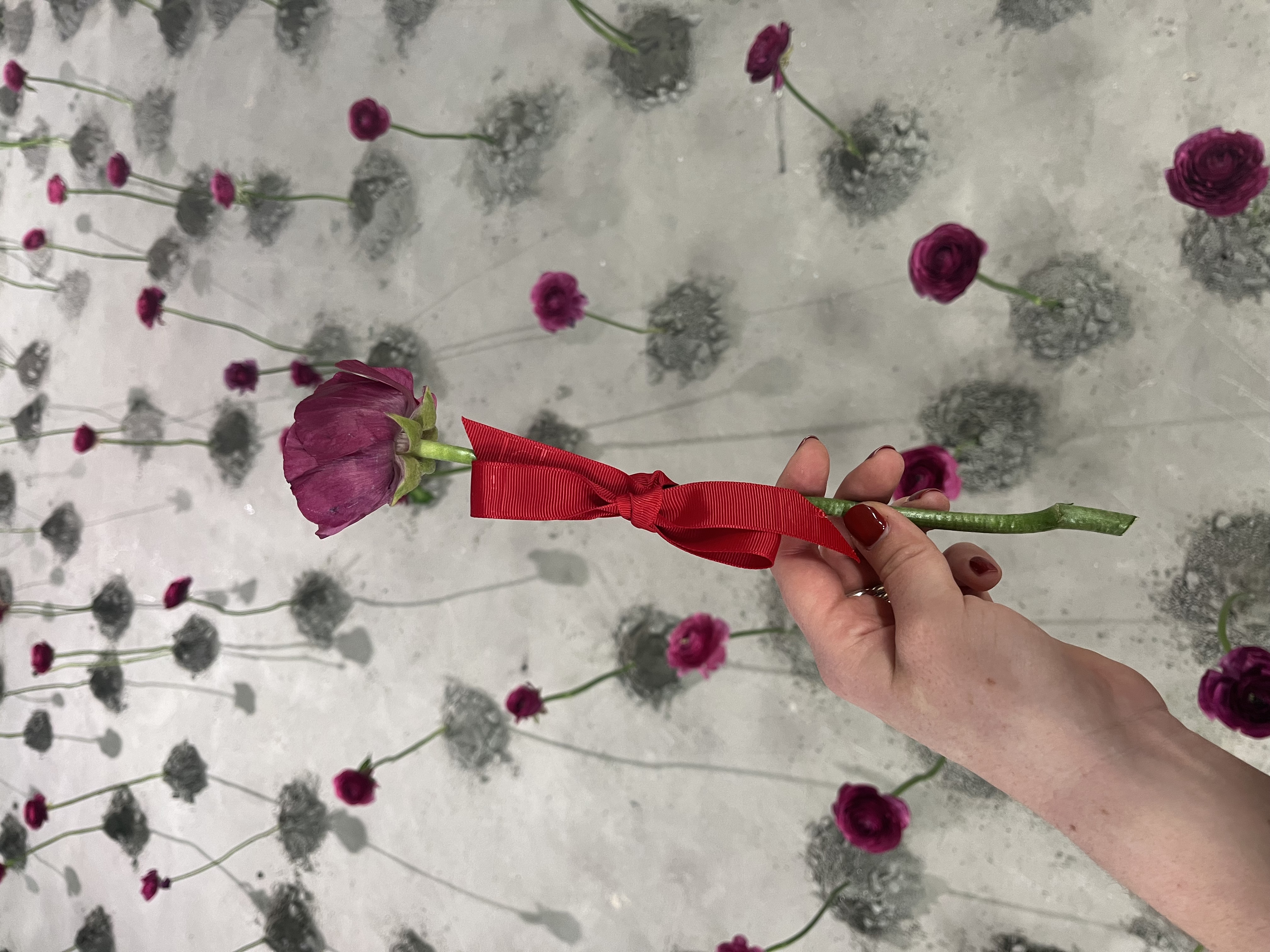 Hand tying a red ribbon around a single ranunculus stem during install, flowers laid out on the concrete floor.